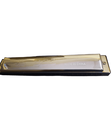Harmonica Mouth Organ 24 Holes 48 Tones C Key With Black Box