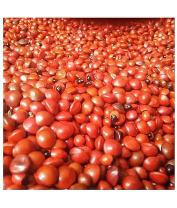 PE - 100% Natural & Rare Full Red Gunja - Rakt Gunja - Gurivanta - Rosary Pea - Chanoti - Latumoni - 21 Pieces