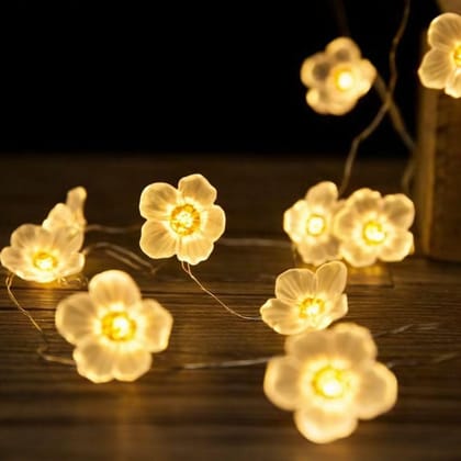 GLOWSERIE Warm White LED Floral Fairy String Lights
