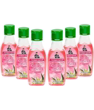 Parampara - Refreshing Skin Freshener For All Skin Type ( Pack of 6 )