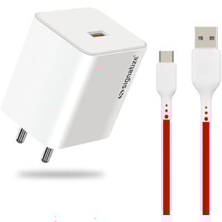 SIGNATIZE 1 USB Port 30W Wall C Type Charger, USB Wall Charger Fast Charging Adapter-SZ-2098