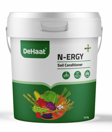NUTRI ONE N-ERGY