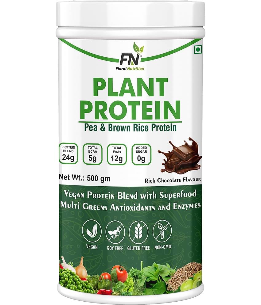Floral Nutrition - 100% Plant Protein Powder Plant Protein Powder ( 500 gm Rich Chocolate )