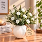 ... ...
