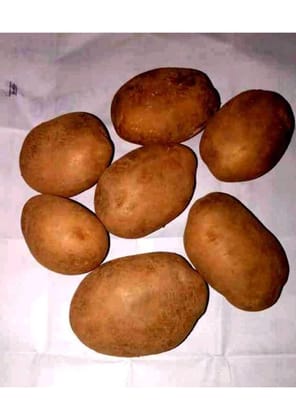 Potato - 1 kg