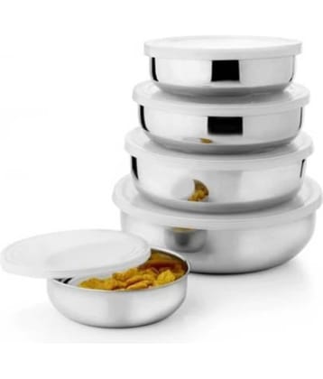 Classic Essentials LB05 Container Steel Silver Food Container ( Set of 5 )