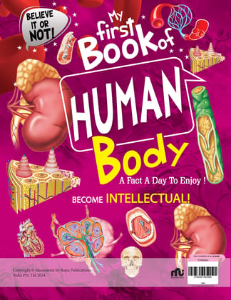 My First Book of Human Body My First Book of Human Body