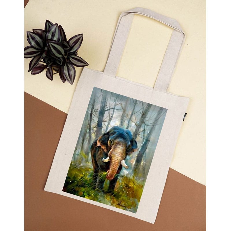 PP10TB  Elephant in jungle