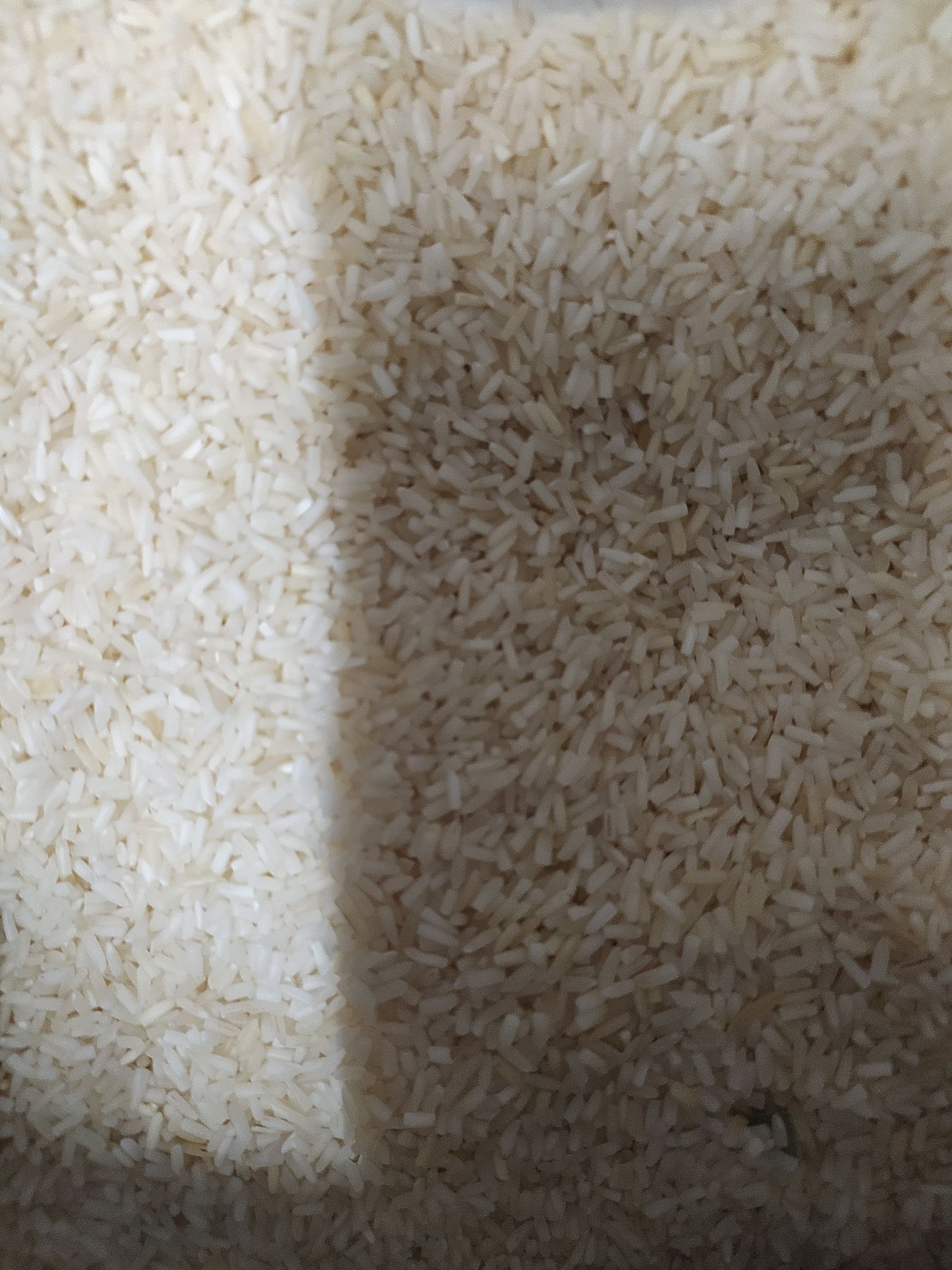 basmati rice 