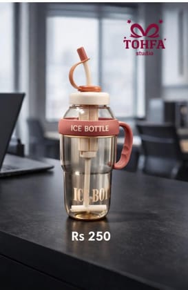 Ice bottle with straw and handle