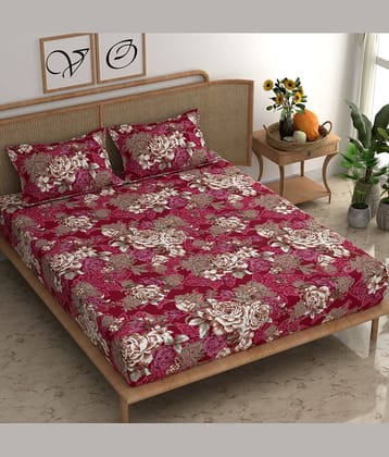 CG HOMES Cotton 1 Double Bedsheet with 2 Pillow Covers ( Red )