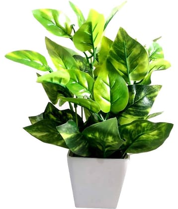 Green plant indoor Artificial Money Plant Multicolour Bonsai Plastic - Pack of 1