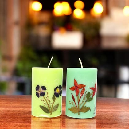 Lemongrass and Ylang Ylang Scented Eco-friendly Soy Wax Pillar Candles-Set of 2 - Jasmine