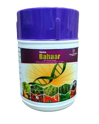 AMINO ACIDS TATA BAHAAR
