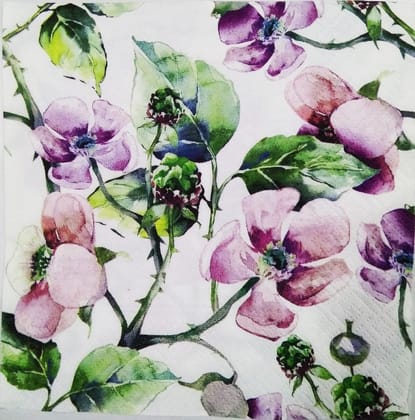 Decoupage Napkin / Tissue papers - DGT1512