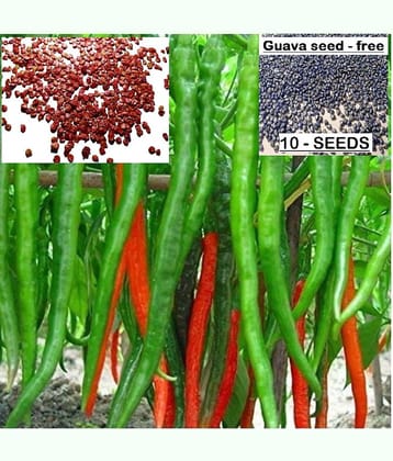 homeagro- Chilli Vegetable Seeds (Pack of 40)