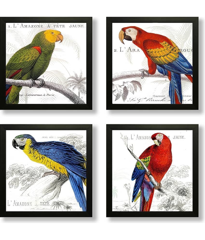 Saf - Art Prints With Frame