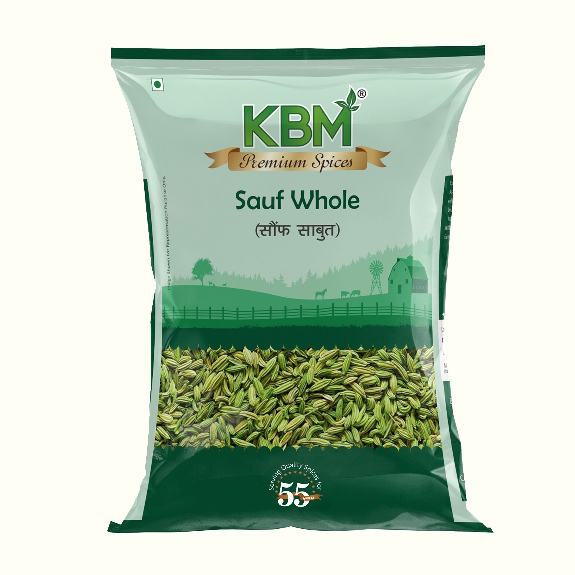 KBM Premium Spices Sauf/Fennel Whole, 100 gm Pouch