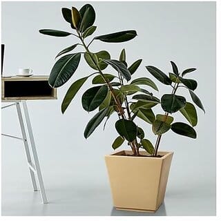 De Gardenia Pots and PlantersSize of GK 12 14 16 InchPack of 3 Pots for Plants Highly Durable Polymers Lightweight Indoor Outdoor Plant Pots (14 Inch(GK14) Beige)