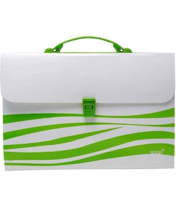 RAVARIYA GRAPHICS Presents Plastic File Folder F/C Expanding Bag with Handle (Multicoloured)