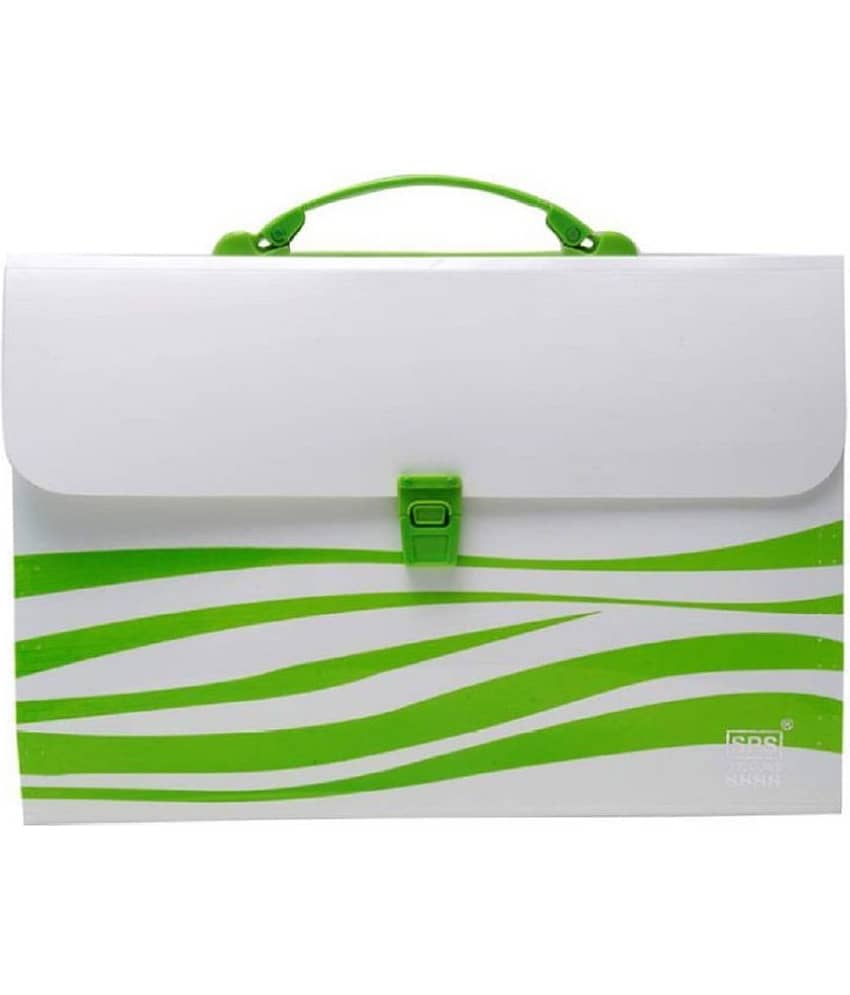 RAVARIYA GRAPHICS Presents Plastic File Folder F/C Expanding Bag with Handle (Multicoloured)