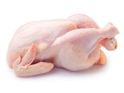 Fresh Whole Chicken - 100 kg - One whole chicken