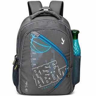 School Bags / College Bags for Boys and Girls | Backpack / Daypack Waterproof Backpack (Grey, 25 L)