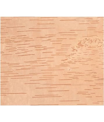 VINARGHYA Betula Utilis / Bhojpatra / Bhujapatram / Bhujaatri / Bhuyapatra 5 no.s