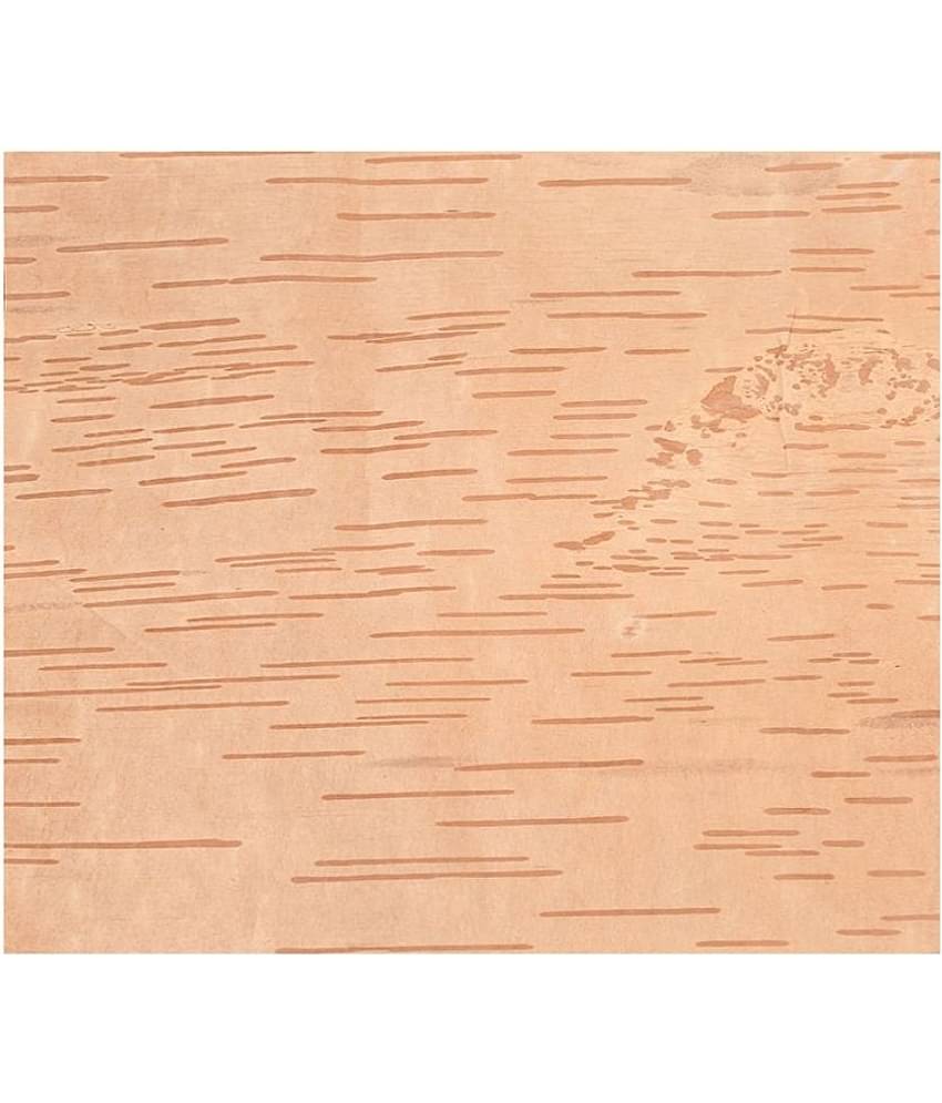 VINARGHYA Betula Utilis / Bhojpatra / Bhujapatram / Bhujaatri / Bhuyapatra 5 no.s