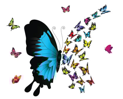 DreamKraft Dynamite Colorful Butterflies PVC Vinly Wall Stickers (Multicolor, 56 cm X 82 cm)