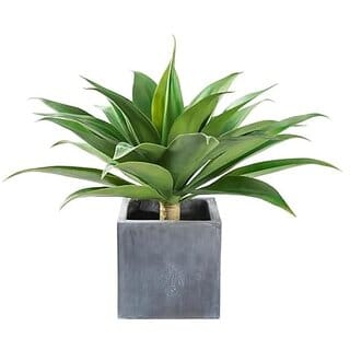 De Gardenia Natural Agave Artificial Plant in White Planter 28 Inches Tall Green Decorative Faux Succulent for Home and Office Decor (Pot is not Included)