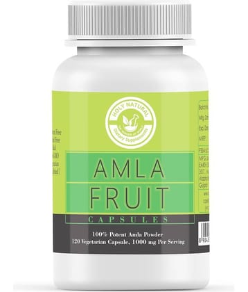 Holy Natural Amla Fruit Capsule 1000 mg Vitamins Capsule