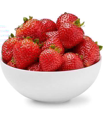 GREEN INDIA STRAWBERRY FRUIT FREES HYBRID SEEDS
