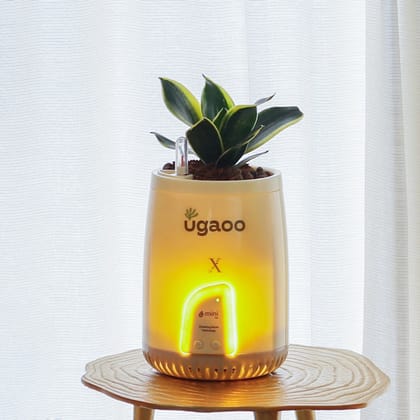Mini Lite - Room Air Purifier