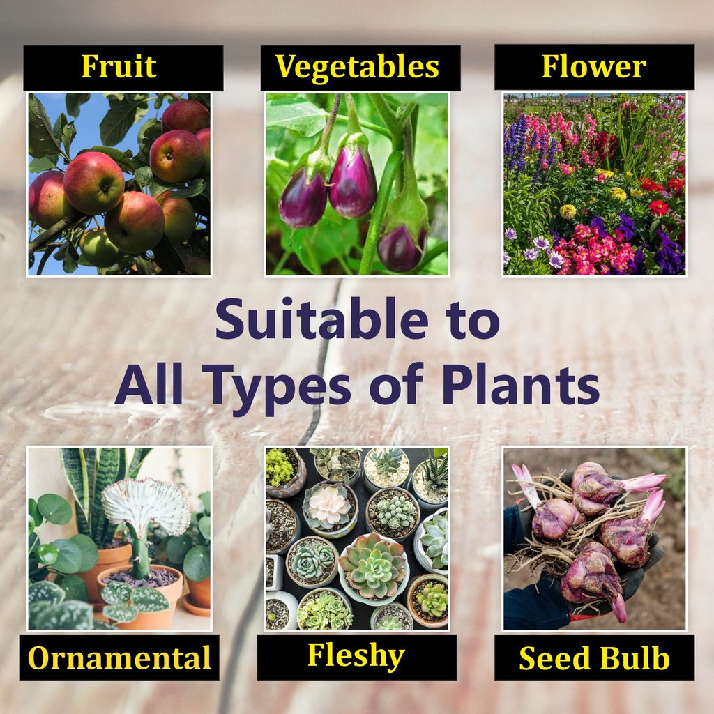 Garden Genie Plant Boost Liquid Biofertilizer, (3 x 50ml) | Organic Plant Booster - Promotes Healthy Roots & Speed Growth of All Home Garden Plants