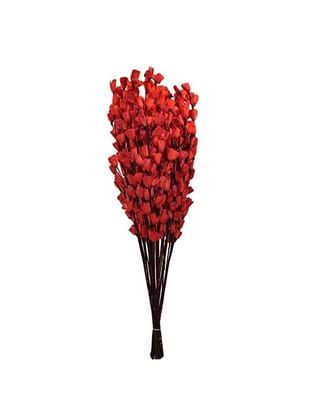 simonart and printing Dryflowers