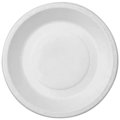 6" Round PLAIN Plate  Pack of 25