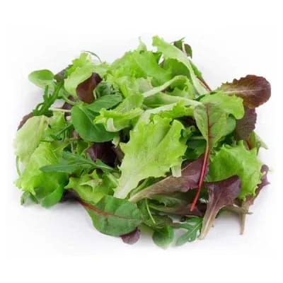 Hydroponic Lettuce - Mix Herbs