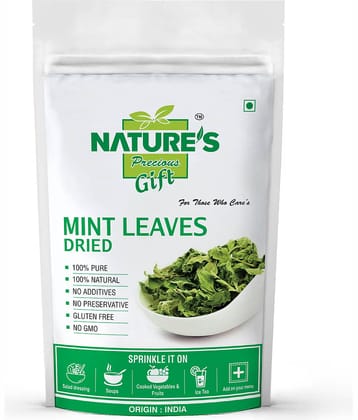 Nature's Gift Mint Leaves Dried 200 gm