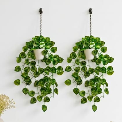 Artificial Hanging Ivy Plant with White Hanging Pot & Rope, Pack of 2, Realistic Green Leaf Creeper for Home,