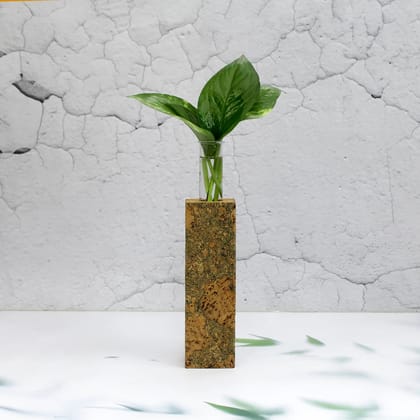The Mohraj Long Cork Fridge Planter