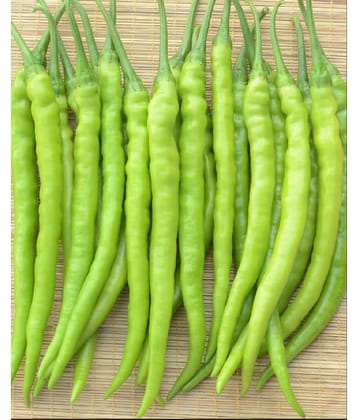 High yielding chilli F1 hybrid Green Chilli | Pack of 50 seeds