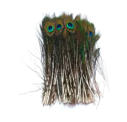 Nawani Peacock Mor Pankh Feather Tails (Pack of 20). Size - 22/5 cm