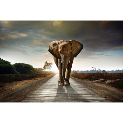 ArtzFolio Elephant Walking on the Road Unframed Premium Canvas Painting-Canvas; Unframed Art / 18inch x 12inch (45.8cms x 30.5cms)