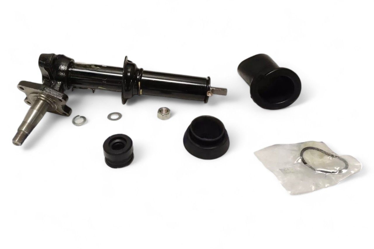 Gabriel Front Suspension Strut - RH AV728388