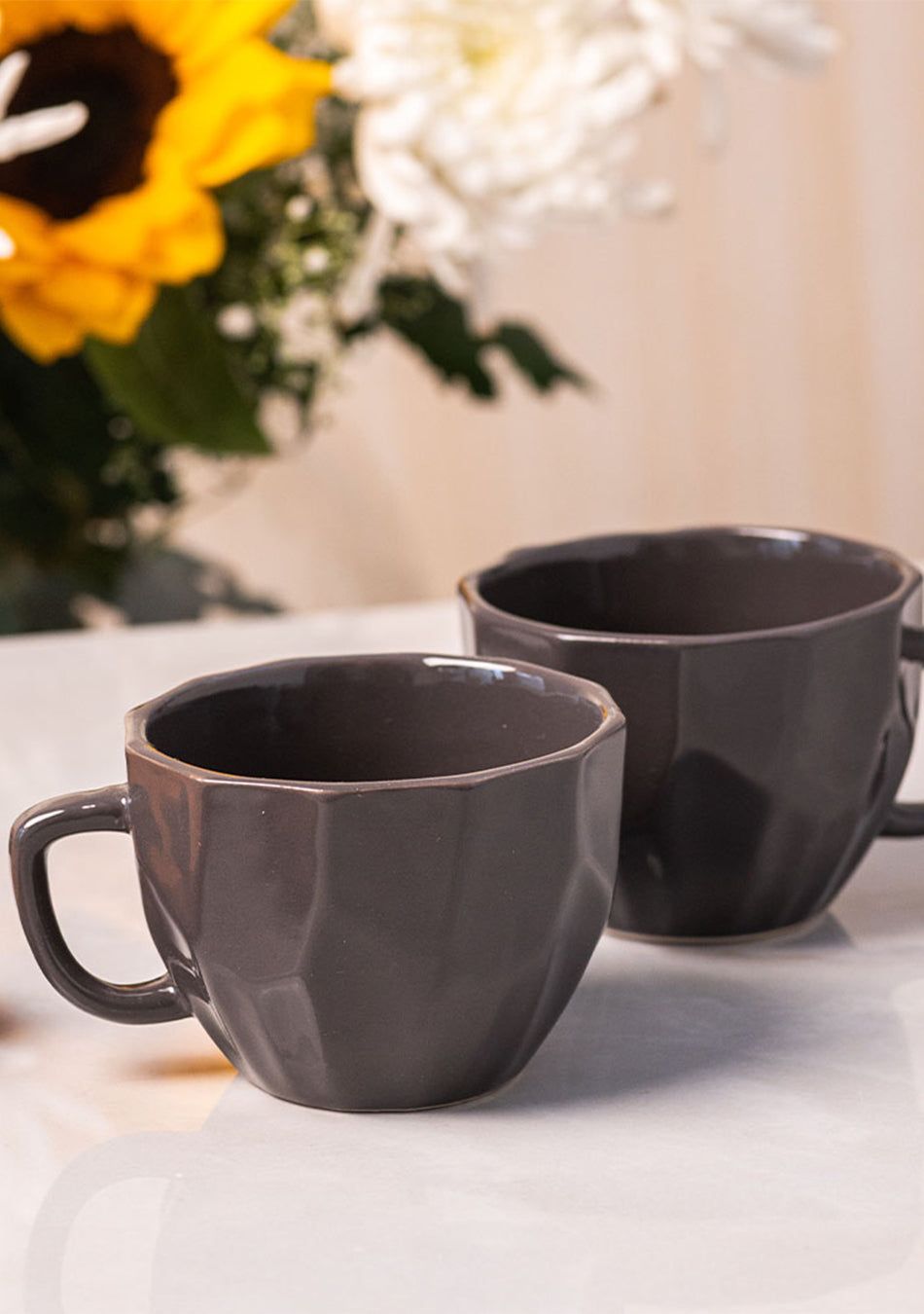 Hornbill Mugs-Set of 2