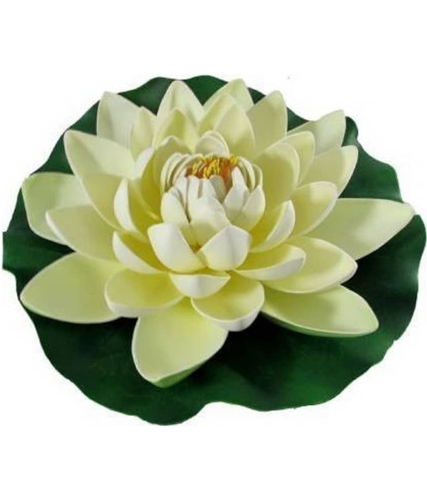 Green plant indoor Lotus Multicolour Floating Flowers - Pack of 1