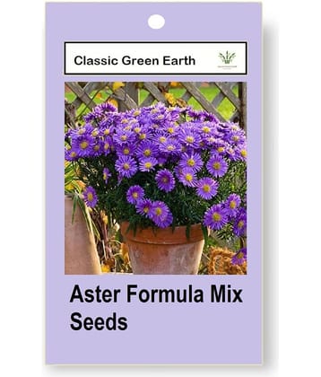 CLASSIC GREEN EARTH - Flower Seeds ( Aster Formula Mix 50 Seeds )