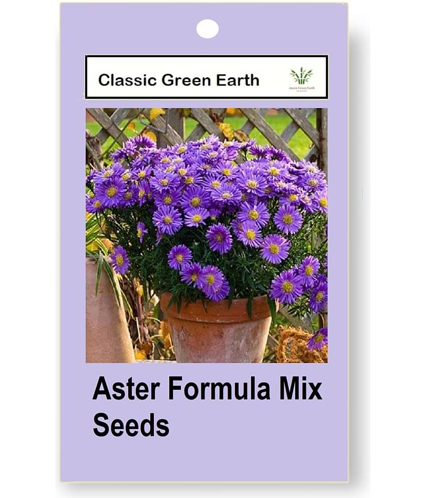 CLASSIC GREEN EARTH - Flower Seeds ( Aster Formula Mix 50 Seeds )
