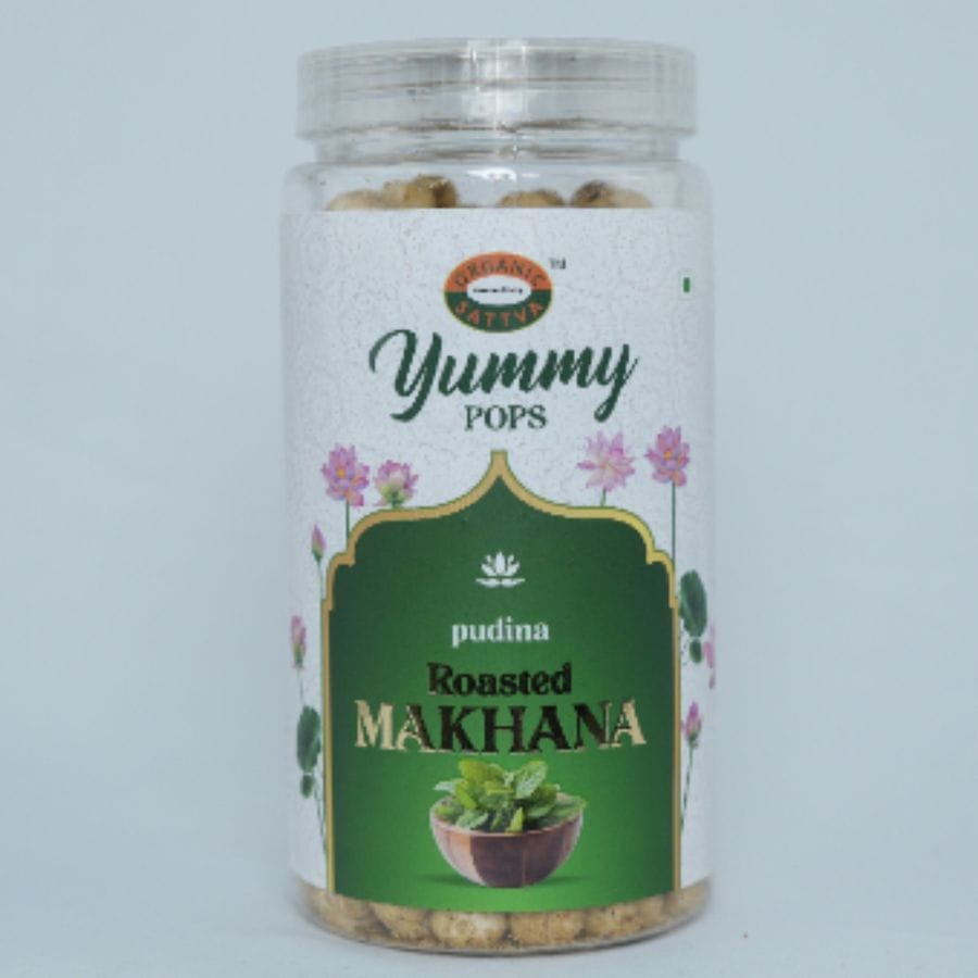 PUDINA MAKHANA - 81 gm